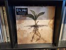 Fear Before The March Of Flames 1xLP Brown Green Vinyl