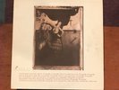 Pixies vintage rare original 12