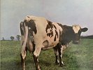 Pink Floyd Atom Heart Mother SHVL 781 Harvest Record Vinyl EX/VG+ Condition