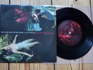 Nick Cave & The Bad seeds Kylie Minogue Where The Wild Roses Grow 7