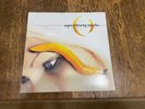 A Perfect Circle 2 LP -‎ Thirteenth Step - Virgin Records 180 Gram Pressing