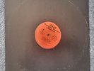 DCS | Punjabi Dance Nation | LP