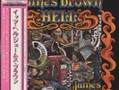 James Brown Hell 1974 Japan Original 2LP Vinyl Polydor MP9474/5 W/Obi VG+/VG+