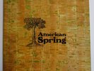 American Spring/Brian Wilson 'AMERICAN SPRING' 12