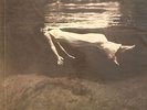 EVANS, Bill with JIM HALL - Undercurrent - Vinyl (LP)