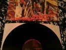 SNAPPER - SHOTGUN BLOSSOM LP MINT / UNPLAYED  IN SHRINK / UK 1ST PRESS CHILLS
