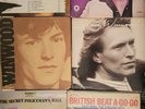 ERIC CLAPTON Yardbirds STEVE WINWOOD Chronicles BRITISH BLUES Vinyl LP Record