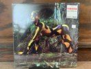 Veruschka [Original Soundtrack] by Ennio Morricone Vinyl NM double LP mondo