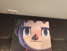 Animal Crossing Rainy Days Vinyl