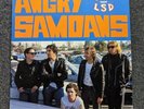 Angry Samoans ‎– STP Not LSD *rare* OG press 1988 punk hardcore PVC RECORDS 1988