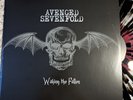Avenged Sevenfold Waking The Fallen Vinyl Red Black Clear Splatter 2LP