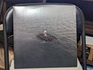 NF - HOPE - White Vinyl - 2LP by Nf (Record, 2023)