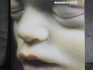 Rammstein : Mutter  -  2 LP  -  Remastered  -  180g Vinyl  -  WIE NEU