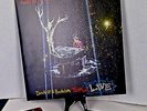 Panic  At The Disco, All My Friends We're Glorious: Death of a Bachelor Live, LP