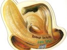 King Kurt - Banana Banana (7