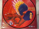 David Bowie The Man Who Sold The World PICTURE DISC 2016 RSD NEW MINT