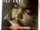Ice Cube Ft Das EFX - Check Yo Self 12