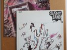 GIANT SAND – Storm/The Love Songs - 1988 Vinyl LPs - NM-Mint - FIEND115/129 -LOT