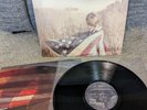 Rise Against - ENDGAME - Vinyl LP - VG+ Wax  Rare Album