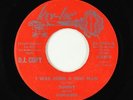 Funk/Sweet Soul 45 - Sunny & the Sunliners - I Was Born A Free Man - Key-Loc