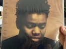 Tracy Chapman 1988, Vinyl Album, Excellent