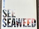 The Drones - I See Seaweed 2014 Vinyl