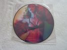 MADONNA - GIRL GONE WILD - VERY RARE 12