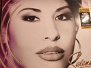 Selena - Moonchild Mixes (Picture disc vinyl)(Record, 2023) 180 gram sealed.