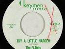 Northern Soul 45 - Fi-dels - Try A Little Harder - Keymen - mp3