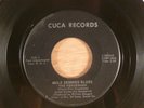 The Fendermen  Mule Skinner Blues/Janice  Rockabilly, Rock & Roll 1960 Cuca
