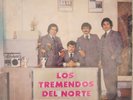 LOS TREMENDOS DEL NORTE / TEX MEX & NORTEÑO / LP VG+ DISA