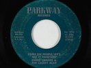 Sweet Soul/Funk 45 - Sweet Gruves & The Candy Man - Come On People - Parkway