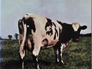 PINK FLOYD - ATOM HEART MOTHER - MFSL 1-202
