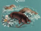 Quasi - Field Studies - Vinyl Record Import 2LP