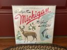Sufjan Stevens - Michigan AKR Edition 2 X LP Blue, Green Marbled Vinyl