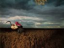 Depeche Mode ‎– A Broken Frame    INT 146.804     1982