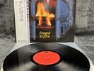 Anvil – Forged In Fire | Japan Pressung | OBI |LP | Vinyl | Schallplatte | Metal