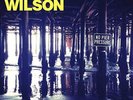 Brian Wilson: No Pier Pressure: Gatefold 180g Double Vinyl LP: 2015: New/Sealed