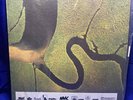 Dead Can Dance – The Serpent's Egg Import 1988 UK Vinyl LP