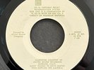 QUAD-EIGHT RV-10 Variable Decay Reverb RARE DEMO RECORD c.1970 VG+
