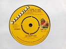FLAME 'N' KING & THE BOLD ONES - HO HAPPY DAY - 1979 UK GRAPEVINE - EX