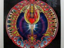 Mickey Hart ROLLING THUNDER, Vinyl, Inserts, Warner Bros. White Label PROMO 1972