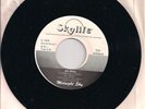 45 rpm record Midnight Sky Skylife Captain Midnight soul funk electro