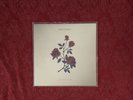 Whitney - Light Upon The Lake - Limited White Vinyl Record [VG+ Vinyl LP]