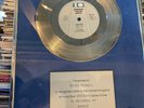 Framed Platinum Disc ... music memorabilia Stephen Tin Tin Duffy