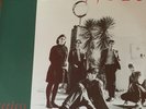 THE TRIFFIDS