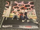 Blossoms ‎– Foolish Loving Spaces - Vinyl LP
