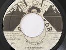 GENERAL PLOUGH The Raindrops BLACK ORIGINATOR 45 Rare Reggae Dancehall MP3