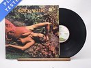 Roxy Music - Stranded - GatefoldA-1 B-1 LP Vinyl Record - EX/EX