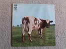 Vinyl 12
